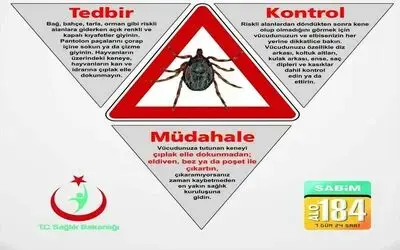 Vakaların arttığı keneye karşı alınabilecek önlemler
