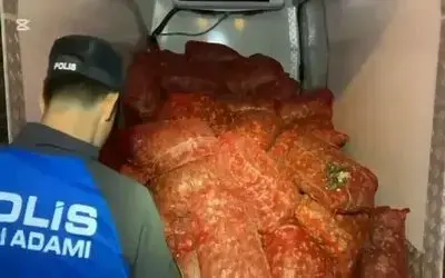 Samsun’da 2 ton 900 kilo kaçak midye ele geçirildi
