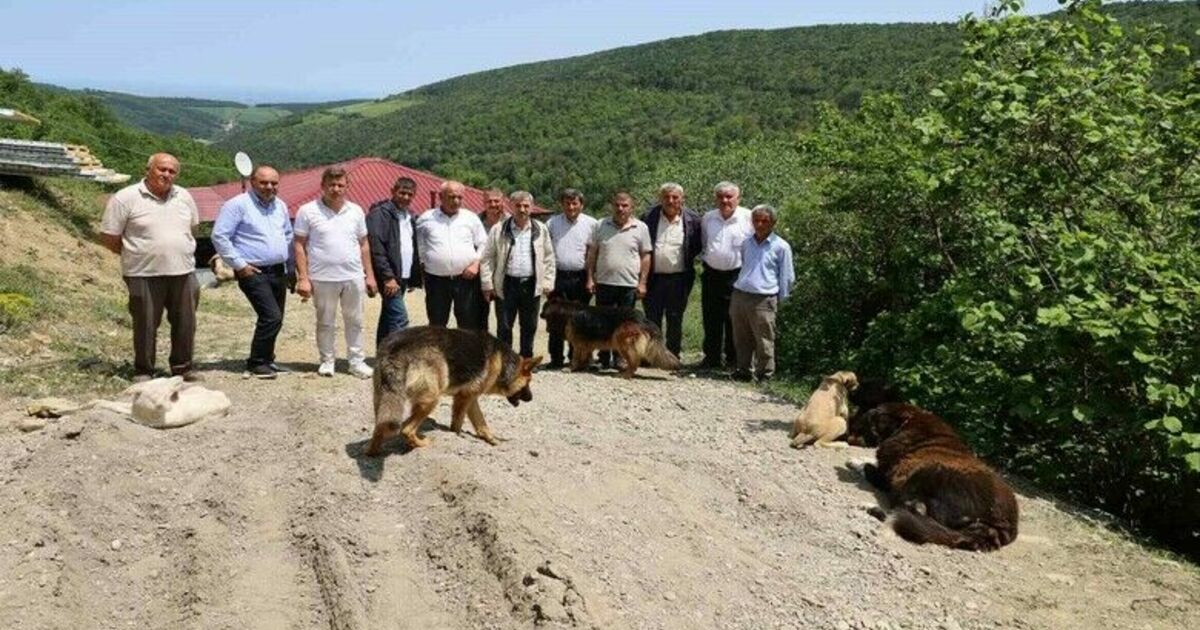 15 mahalle muhtarından izinsiz oluşturulan köpek barınağına sert tepki
