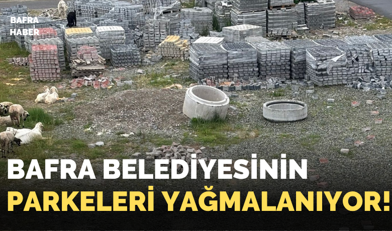 Bafra Belediyesinin Parkeleri Yağmalanıyor!