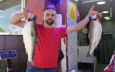 Somon en çok tercih edilen balık
