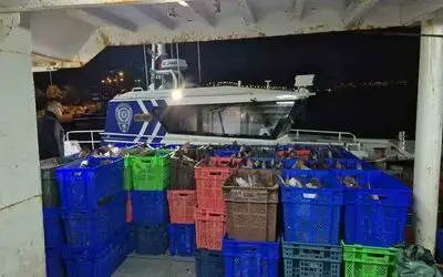 Samsun açıklarında 6 ton kaçak kalkan balığı ele geçirildi