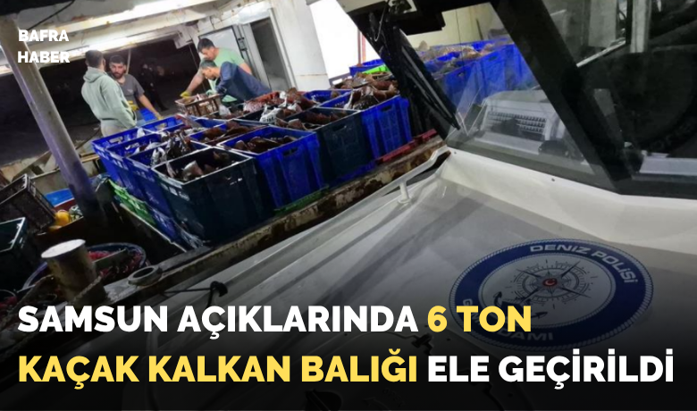 Samsun açıklarında 6 tonkaçak kalkan balığı ele geçirildi