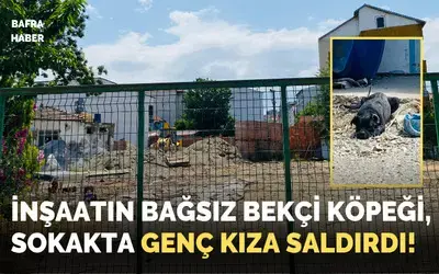 Bafra’da Bağsız Bekçi Köpeği Genç Kıza Saldırdı!
