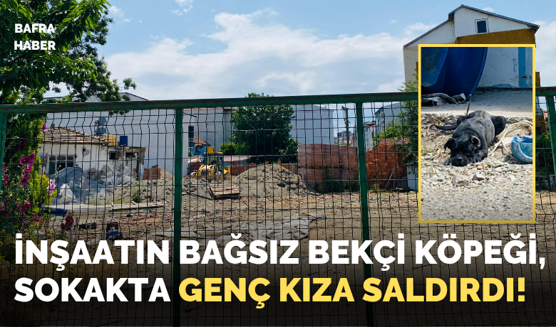 Bafra’da Bağsız Bekçi Köpeği Genç Kıza Saldırdı! - Samsun’un Bafra ilçesi Kemalpaşa Mahallesi’nde sabah erken saatlerde işe gitmek için yola çıkan genç kız, bir inşaatın bağsız bekçi köpeği saldırısına uğradı. Genç kızı şans eseri sokaktan geçen iki kişi saldırıdan kurtardı.