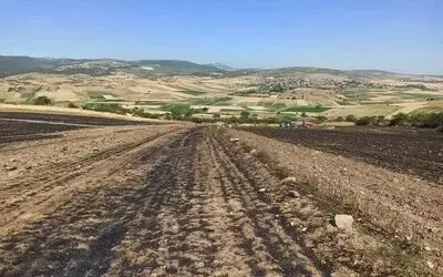 Kaya: "Anız yakmayın, toprağınızı koruyun"
