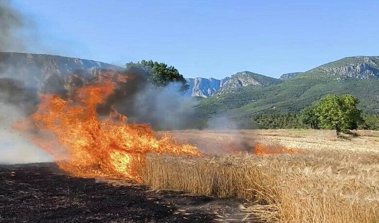 Samsun itfaiyesi, 6 ayda 263 orman ve anız yangınına müdahale etti
