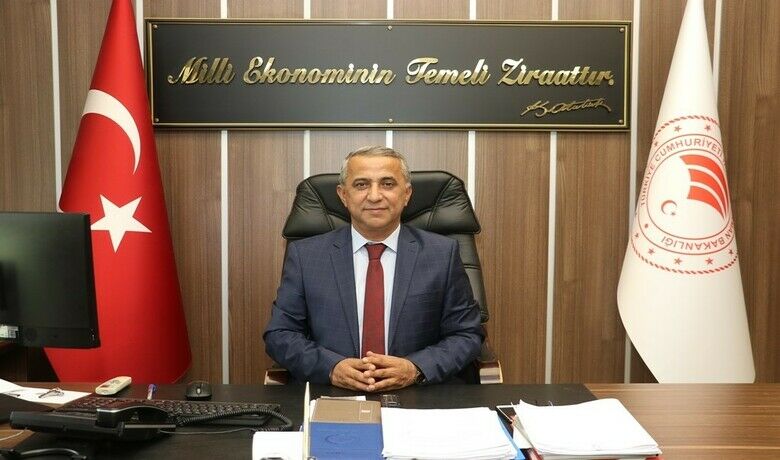 Sağlam: "Kahverengi kokarca ilemücadelede kritik dönem başladı" - Samsun İl Tarım ve Orman Müdürü İbrahim Sağlam, kahverengi kokarca zararlısı ile mücadelede kritik bir dönemin başladığını belirterek, "Kahverengi kokarcanın genç birey (nimf) dönemi, yumurtadan çıkış sonrası bir süre uçma yeteneğinin bulunmadığı evredir. Bu dönemde yapılacak ilaçlama, zararlının yayılımını kontrol altına almak ve popülasyon artışını önlemek açısından büyük önem taşımaktadır" dedi.