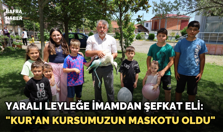 Yaralı leyleğe imamdan şefkat eli: "Kur’an kursumuzun maskotu oldu"