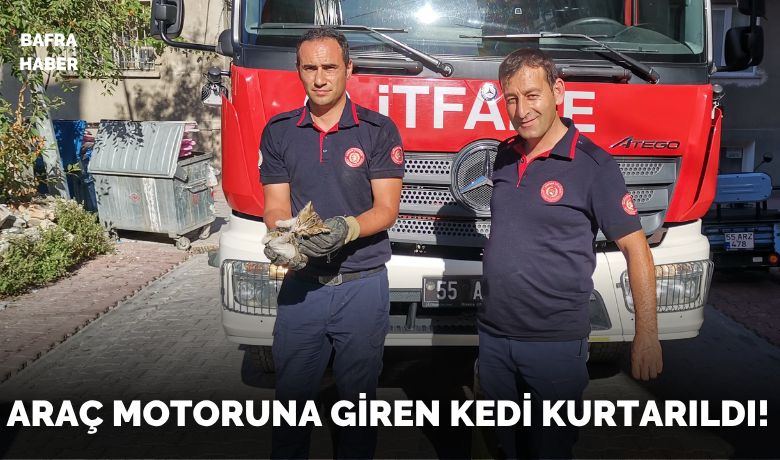 Araç motoru İçine Giren Kedi Kurtarıldı!