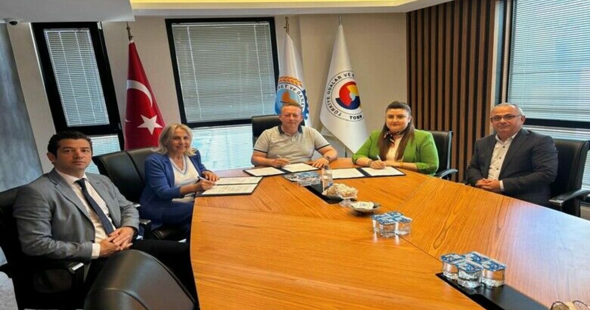 Bafra’da kadın istihdamı ve girişimciliği için iş birliği protokolü