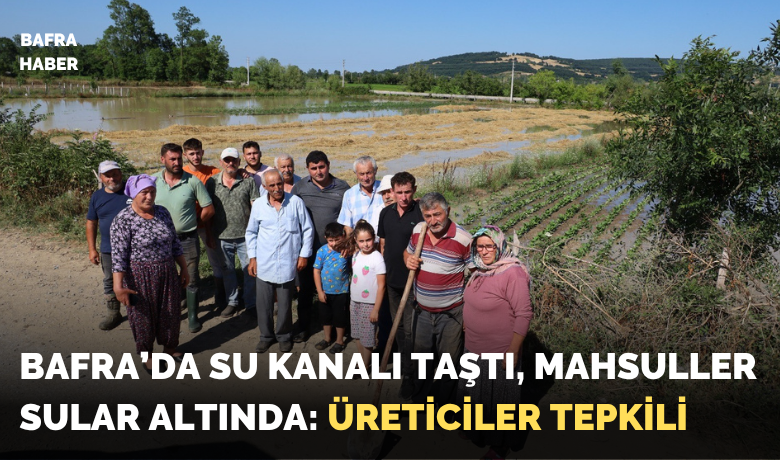 Bafra’da su kanalı taştı,mahsuller sular altında: Üreticiler tepkili