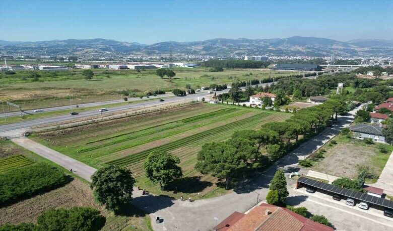 Karadeniz’in en büyük fidanlığı, yangın bölgelerine on binlerce fidan göndermeye hazır
