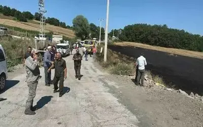 1 yıllık emek kül oldu, orman son anda kurtarıldı
