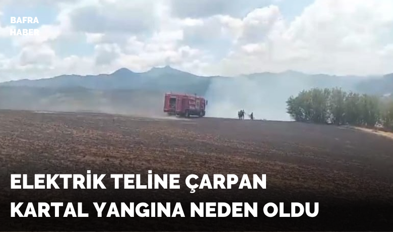 Kartalın elektrik tellerine çarpmasıylabaşlayan yangın büyümeden söndürüldü