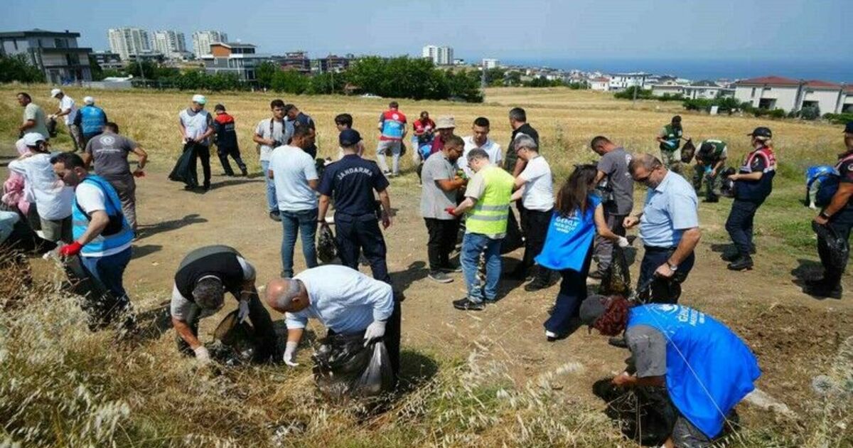Samsun’da orman yangınlarına karşı seferberlik
