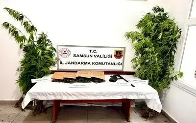 Jandarma kubar esrar ve kenevir ele geçirdi
