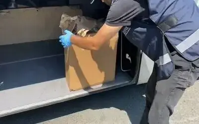 Samsun’da yolcu otobüsünde 2 kilo skunk ele geçirildi: 2 gözaltı
