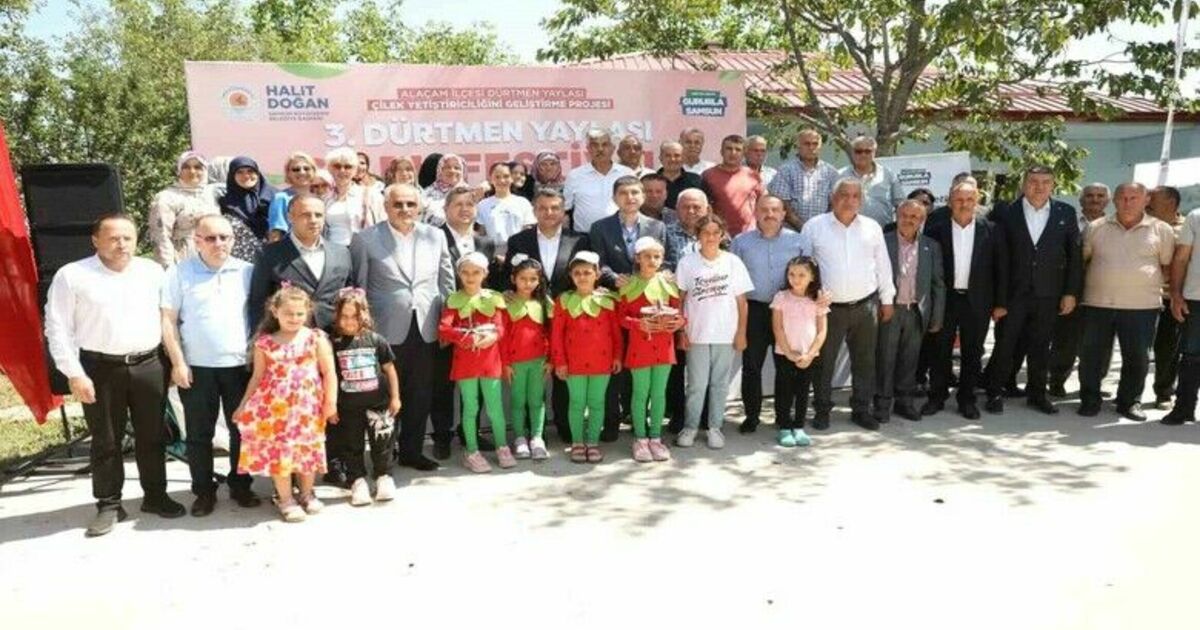 Samsun’da çileğin kalbi Dürtmen Yaylası’nda attı
