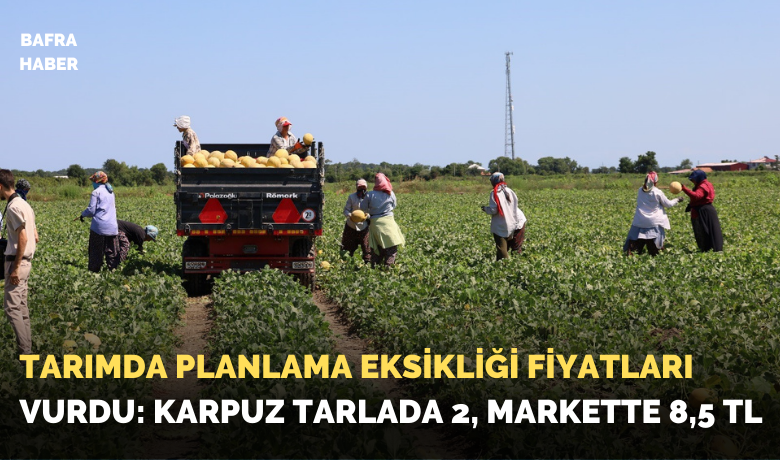 Tarımda planlama eksikliği fiyatları vurdu:Karpuz tarlada 2, markette 8,5 TL