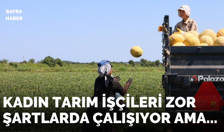 Kadın işçiler ekmek parasını topraktan çıkarıyor