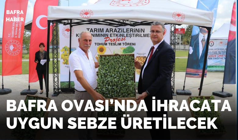 Bafra Ovası’nda ihracata uygun sebze üretilecek