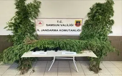 Samsun’da jandarmadan silah ve uyuşturucu operasyonları: 4 gözaltı
