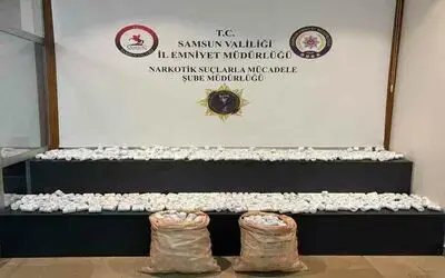 Ahırdaki arı kovanlarının arkasına gizlenen çuvallardan 54 bine yakın uyuşturucu hap çıktı
