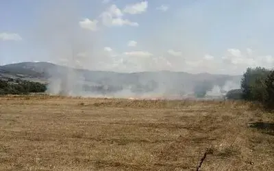 Samsun’da anız yangını ormana sıçramadan söndürüldü
