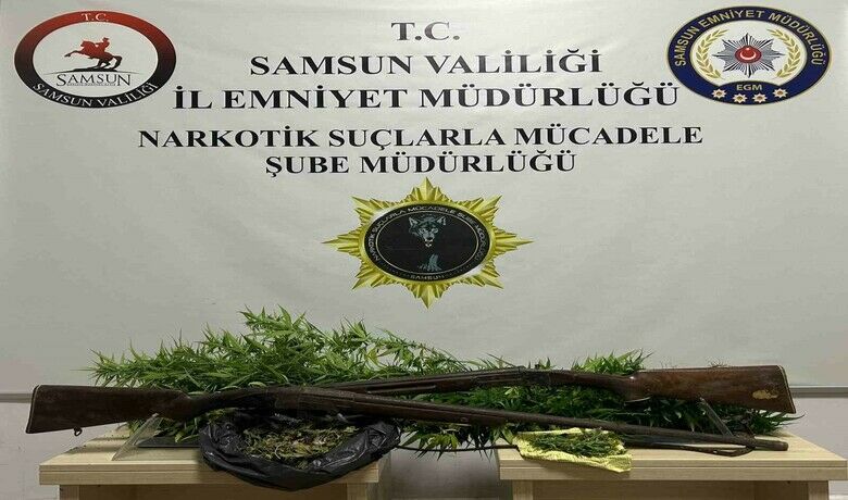 Bafra’da 33 kök Hint keneviri ele geçirildi - Samsun’un Bafra ilçesinde 33 kök Hint keneviri ele geçirildi.