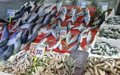Havalar serinledi, balık tezgahları hareketlendi
