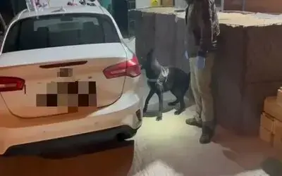 Narkotik dedektör köpeği aracın döşemesine gizlenmiş uyuşturucu buldu: 3 gözaltı
