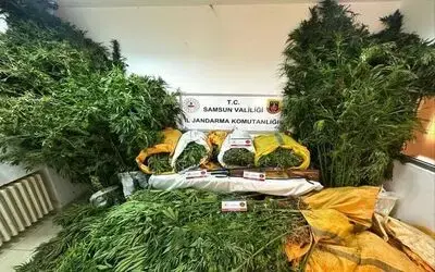 Samsun’da 57 kilo 955 gram kubar esrar ele geçti
