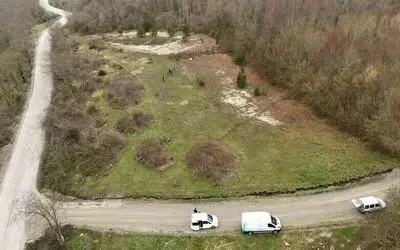 Başkan Yardımcısı Yıldız: "Bu hayvanlar, can dostlarımız"
