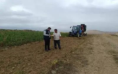 Şeker pancarı hasadı başladı
