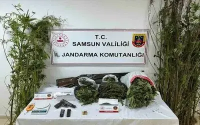Jandarmadan uyuşturucu operasyonu: Esrar, kenevir ve silah ele geçirildi
