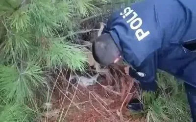 Polis kaçak avcılık tuzağı ele geçirdi

