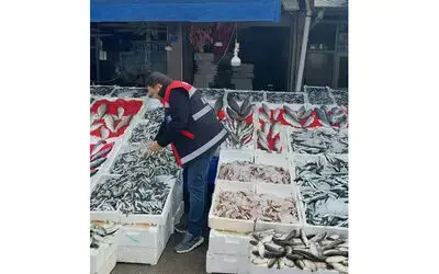 Balık tezgahları denetlendi

