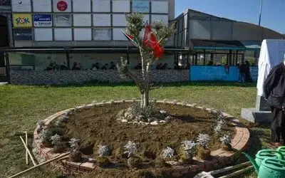 OMÜ’de Filistin için "zeytin ağacı anıtı" dikildi
