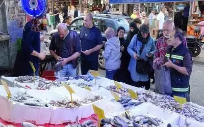 Hamside fiyat yarıya düştü, tezgahlarda yoğun ilgi

