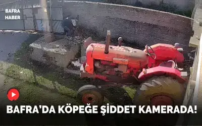 Bafra’da Köpeğe Şiddet Kamerada!