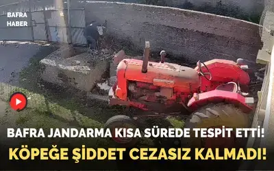 Köpeğe Şiddet Cezasız Kalmadı! 
