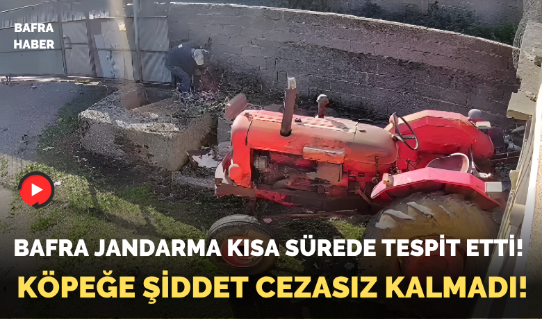 Köpeğe Şiddet Cezasız Kalmadı! 