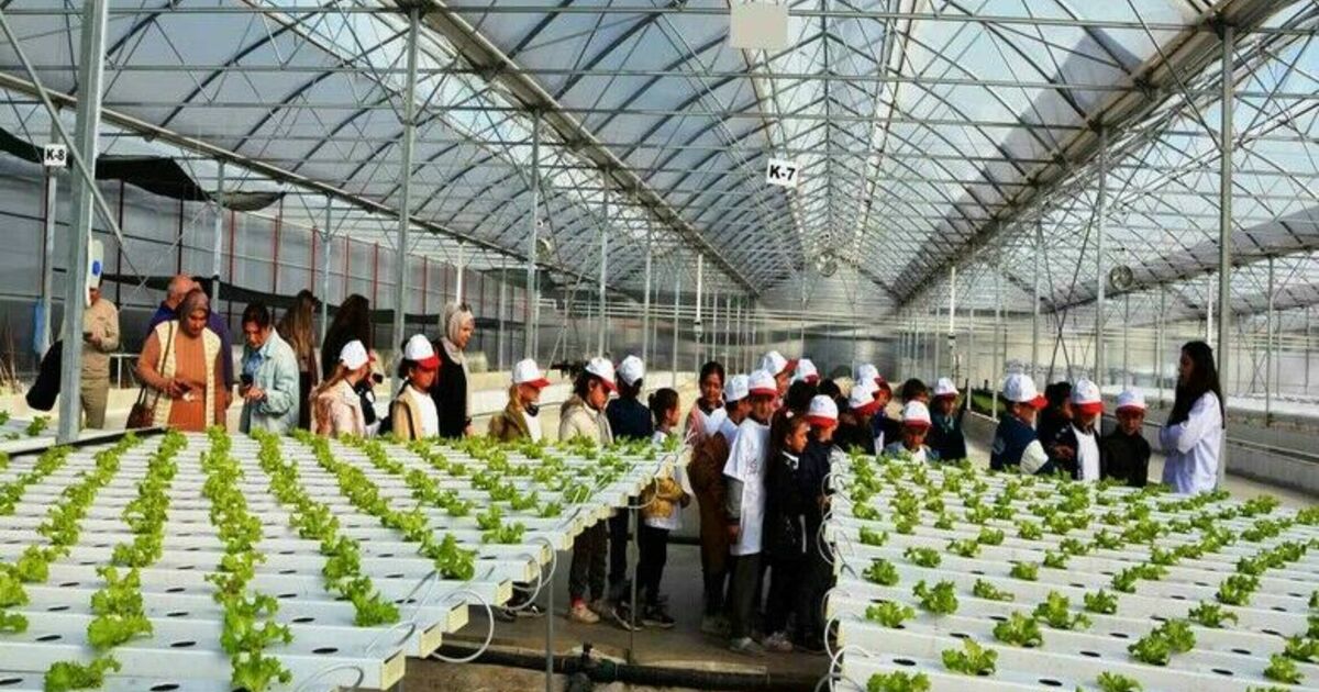Samsun’da lider çocuk tarım kampı düzenlendi
