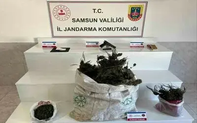 Samsun’da jandarmadan uyuşturucu operasyonu: İpe asılmış esrar ele geçirildi
