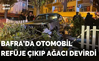 Otomobil Refüje Çıkıp Ağacı Devirdi