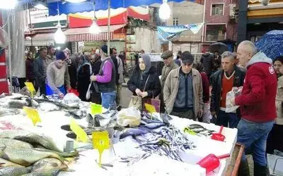Samsun’da hamsi ve istavrit 75 TL
