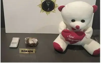 Oyuncak ayı içine gizlenen kokain ele geçirildi: 1 gözaltı
