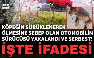 Köpeğin Sürüklenerek Ölmesine Sebep Olan Otomobilin Sürücüsü Yakalandı Ve Serbest