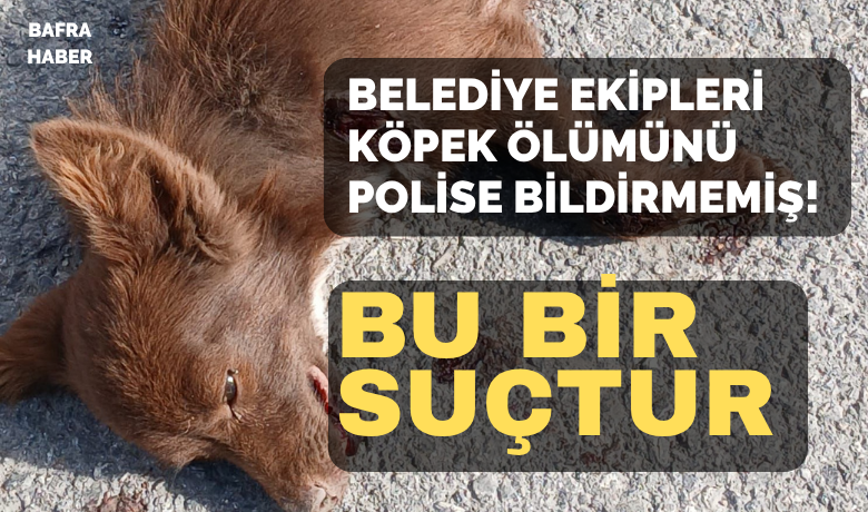 Belediye Görevlilerinin Köpek Ölümünü Bildirmemesi Suçtur